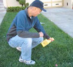 Man sprays peticides on lawn