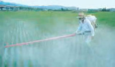 Farmer sprays field