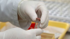 Gloved hands in a laboratory, holding a test tube